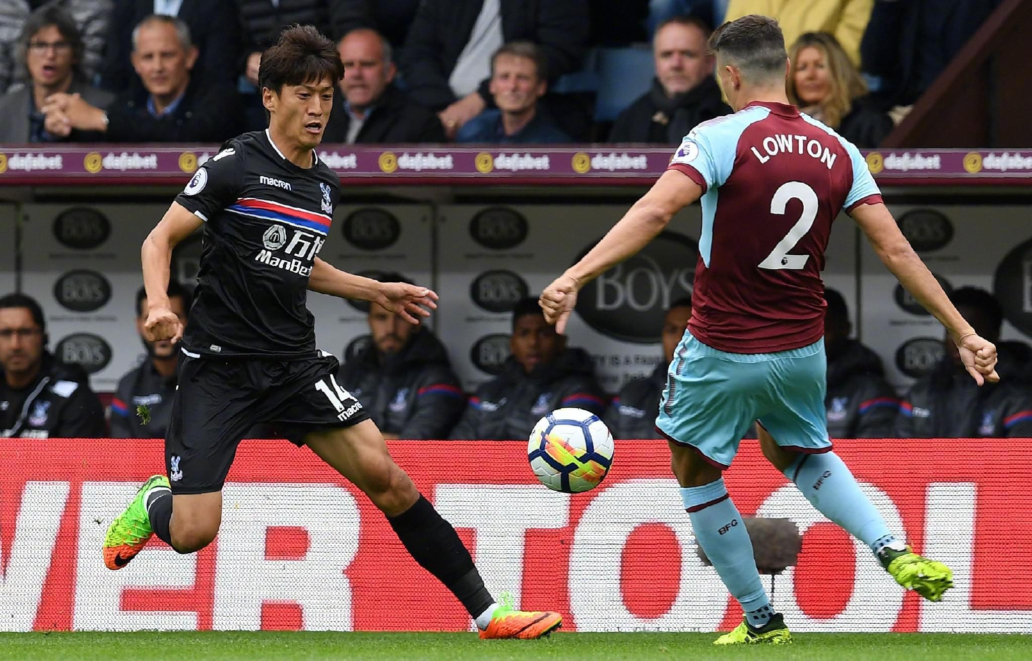 这与老鹰近 这与老鹰近